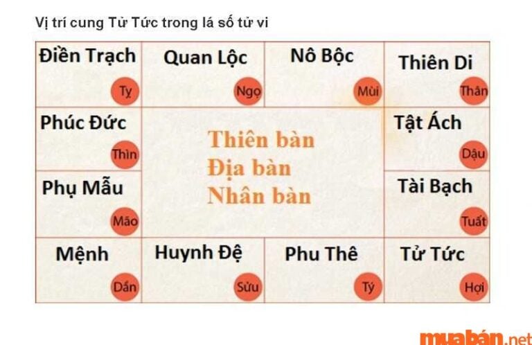 Cung Tử Tức là gì Giải Mã cung Tử Tức trong lá số tử vi