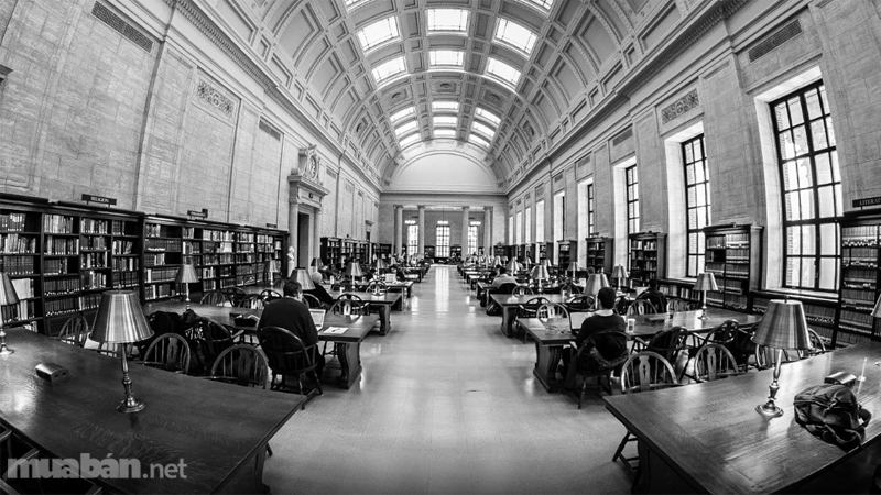 Hành Trang Du Học Mỹ Cần Những Gì? 3 Thư Viện Trường Đại Học Harvard