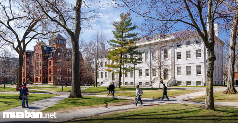 Hành Trang Du Học Mỹ Cần Những Gì? 2 Toàn Cảnh Trường Harvard Vào Mùa Xuân