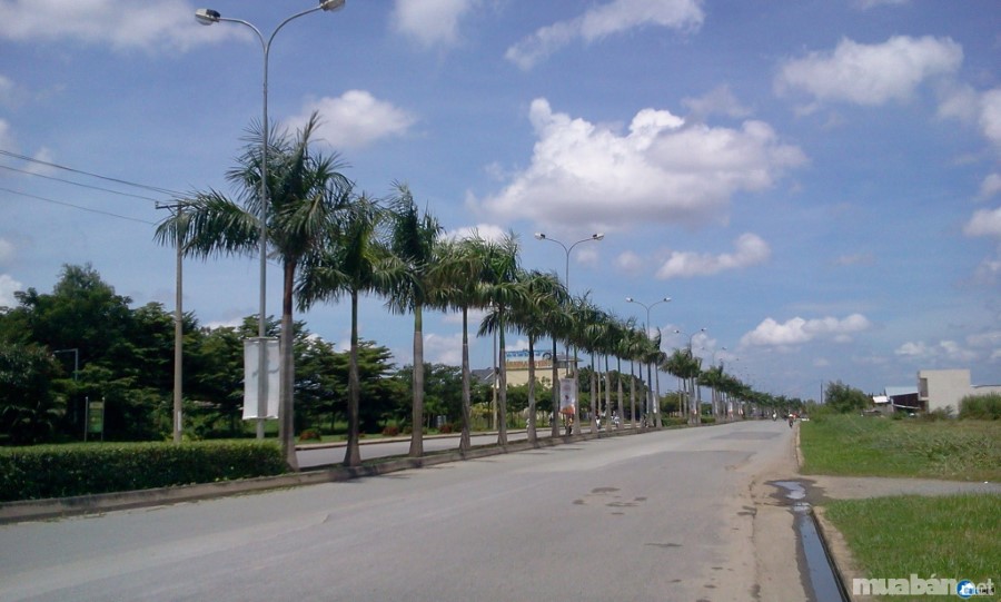 Kinh Nghiệm Cần Biết Khi Đầu Tư Vào Đất Nền Long An 4 H%C3%Acnh 3 4