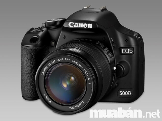 Danh Sách Top 7 Máy Ảnh Ống Kính Rời Giá Rẻ Đáng Mua 6 Canon Eos 500D