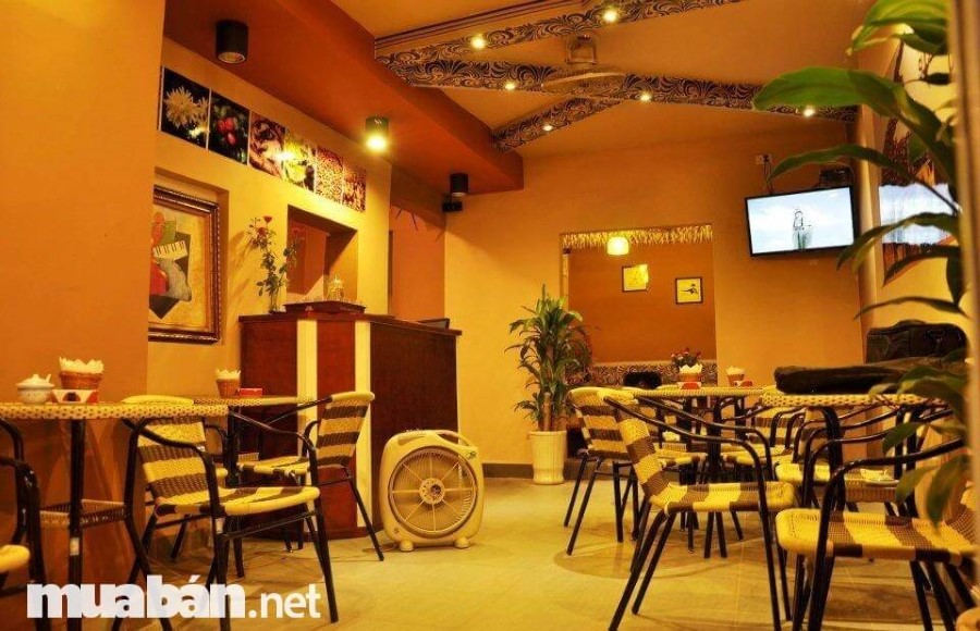 4 Điều Cần Biết Khi Sang Nhượng Quán Café Để Kinh Doanh 4 Nên Suy Nghĩ Kỹ Với Những Mặt Bằng Sang Nhượng Không Chính Chủ