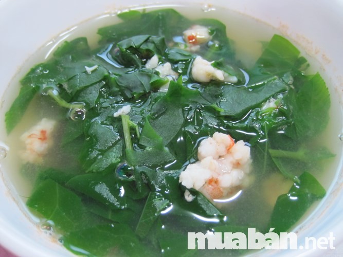 4 Loại Rau Sạch Nên Được Trồng Tại Sân Thượng Nhà Bạn. 11 Cac Mon Canh Mong Toi 1