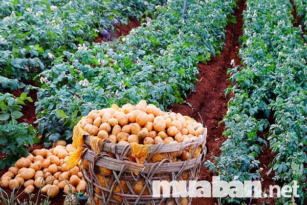 Bí Quyết Để Kinh Doanh Thực Phẩm Online Luôn Cháy Hàng 8 H%C3%Acnh %E1%Ba%A3Nh K Ch%E1%Bb%89 %C4%91%E1%Ba%B9P M%C3%A0 C%C3%B2N Thu%E1%Ba%Adn M%E1%Ba%Aft Ng