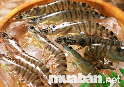 Kinh Doanh Online Kiếm Lời Chục Triệu Mỗi Tháng Từ Hải Sản Tươi Sống 2 Kinh Doanh Hải Sản Tươi Sống