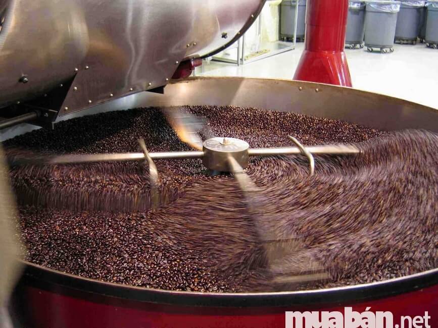 Bố trí quầy rang xay tại quán cafe sạch
