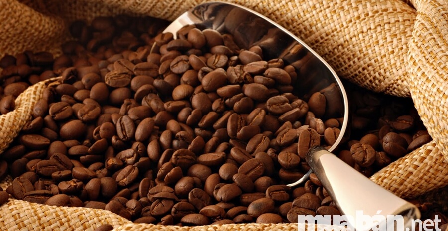 Chọn sản phẩm chủ lực khi kinh doanh cafe sạch rất quan trọng