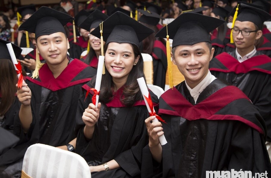 Gia sư là sinh viên đại học