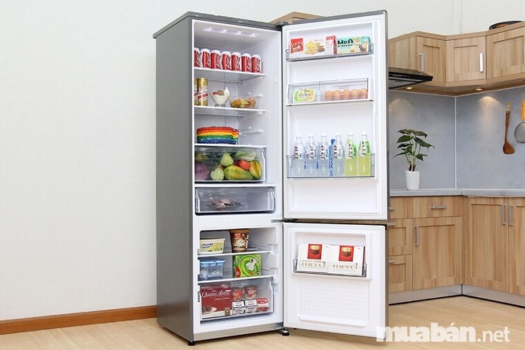 Bật Mí Kinh Nghiệm Chọn Mua Tủ Lạnh Vừa Rẻ, Vừa Tiết Kiệm Điện 4 Tủ Lạnh Ngăn Đá Dưới