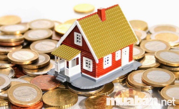 Tính toán thật kỹ càng Hãy tính toán thật kỹ càng để đến năm 3 bạn bắt đầu thu được lợi nhuận