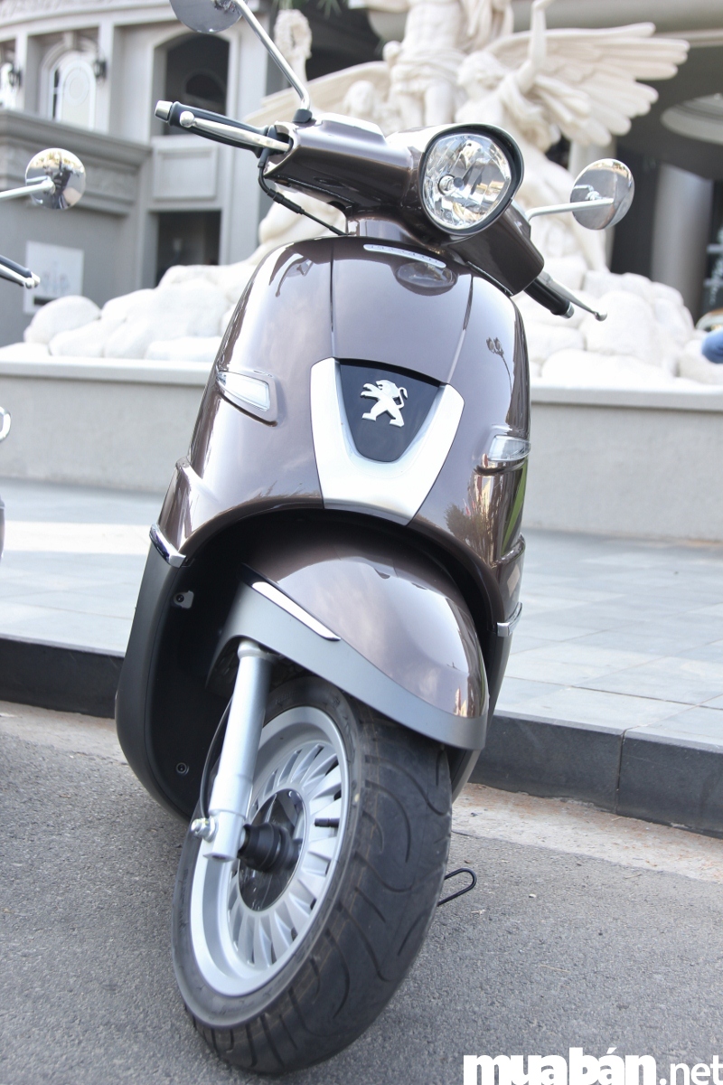Logo Peugeot với hình sư tử đầy uy quyền phía trước tạo nên vẻ đẹp của một thương hiệu đầy đẳng cấp thời thượng.