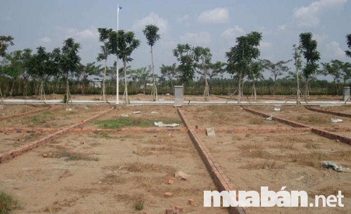 Cần phải tìm hiểu kĩ về thửa đất trước khi làm thủ tục mua bán đất thổ cư