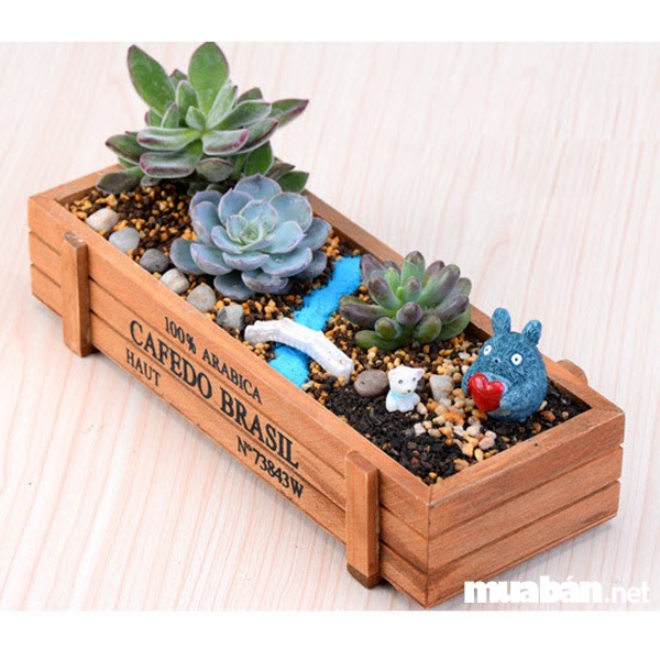 6 Ý Tưởng Cho Chậu Cây Cảnh Đẹp Và Độc Đáo 6 Trồng Cây Bằng Chậu Gỗ Độc Đáo