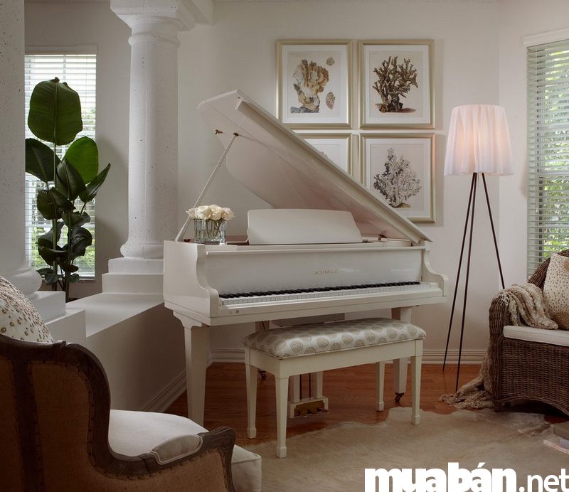 Các Loại Đàn Piano Và Những Điều Cần Biết Khi Mua Đàn Piano Cũ 3 Các Loại Đàn Piano Cũ Trên Thị Trường