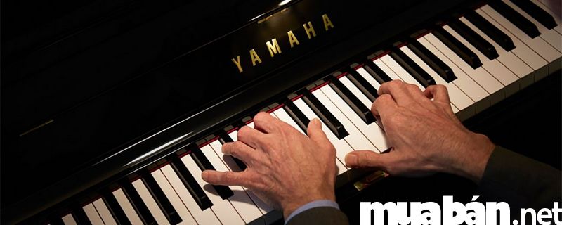Các Loại Đàn Piano Và Những Điều Cần Biết Khi Mua Đàn Piano Cũ 5 Sở Hữu Đàn Piano Có Dễ Dàng?