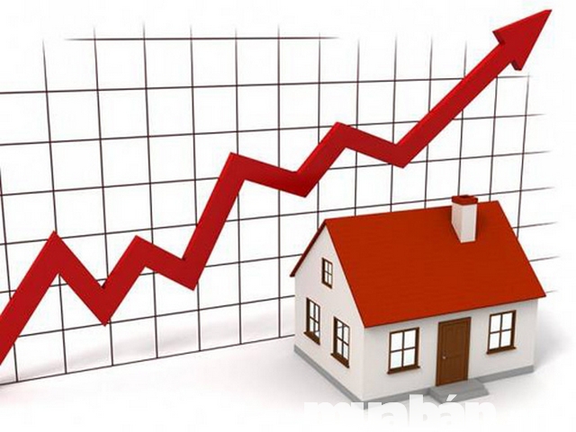 Những Ai Lần Đầu Xây Nhà, Mua Đất Cần Phải Lưu Ý 3 Điều Sau 4 Mua Đất Xây Nhà