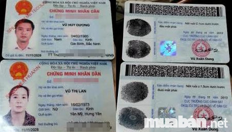 Những Điều Cần Lưu Ý Từ A Đến Z Khi Thuê Xe Máy Đi Du Lịch 3 Thuê Xe Máy