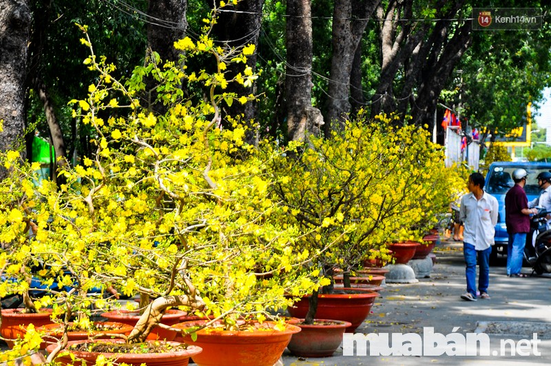 Tết 2018 Bán Gì Chạy Nhất? Hãy Kinh Doanh Những Mặt Hàng Dễ &Quot;Hốt Bạc&Quot; Này Nhé! 5 Tết 2018 Bán Gì