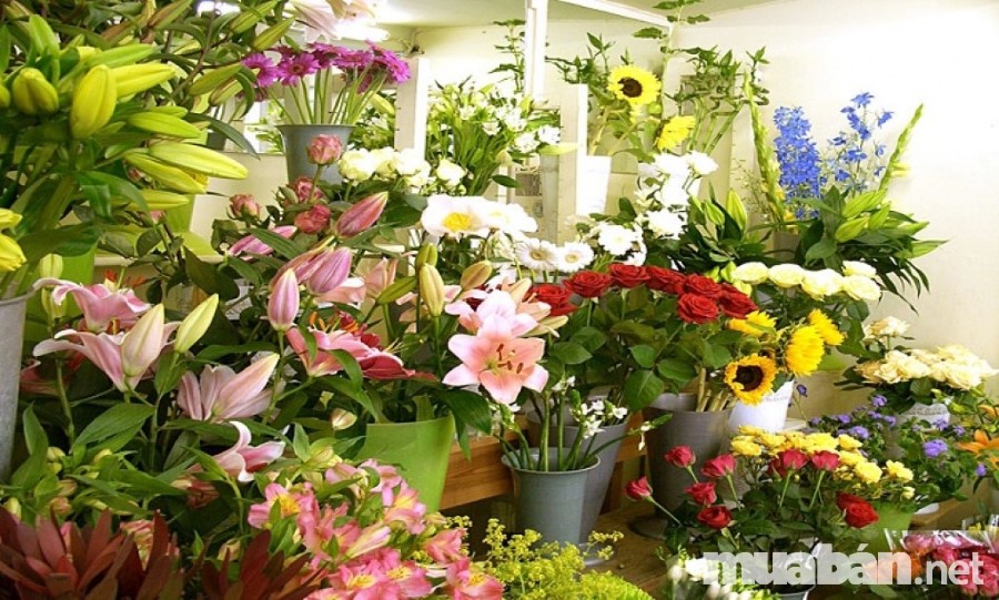 Vật Dụng Trang Trí Ngày Tết Mang Đến May Mắn Cho Năm Mới 2018 5 Tet4