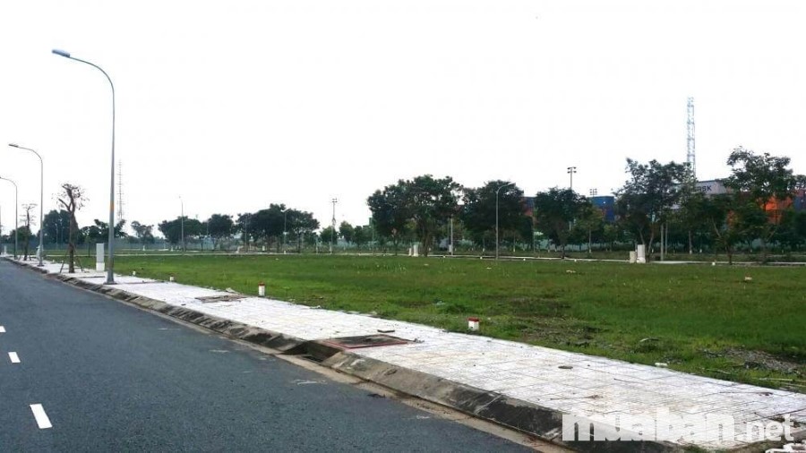 Kinh Nghiệm Mua Đất Dự Án Giá Rẻ Và An Toàn Tại Thành Phố Hồ Chí Minh 3 Người Mua Đất Cần Tìm Hiểu Về Dự Án Để Tránh Những Lô Đất Chết