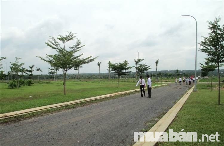 Kinh Nghiệm Mua Đất Dự Án Giá Rẻ Và An Toàn Tại Thành Phố Hồ Chí Minh 5 Xem Xét Tổng Thể Dự Án Trước Khi Ký Hợp Đồng Mua Đất