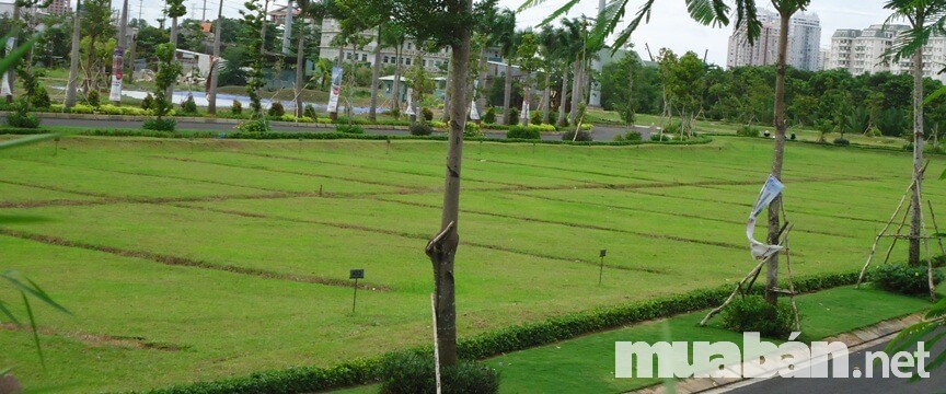 Kinh Nghiệm Mua Đất Dự Án Giá Rẻ Và An Toàn Tại Thành Phố Hồ Chí Minh 4 Đất Sổ Chung Tiềm Ẩn Nhiều Rủi Ro Vô Hình Cho Người Mua