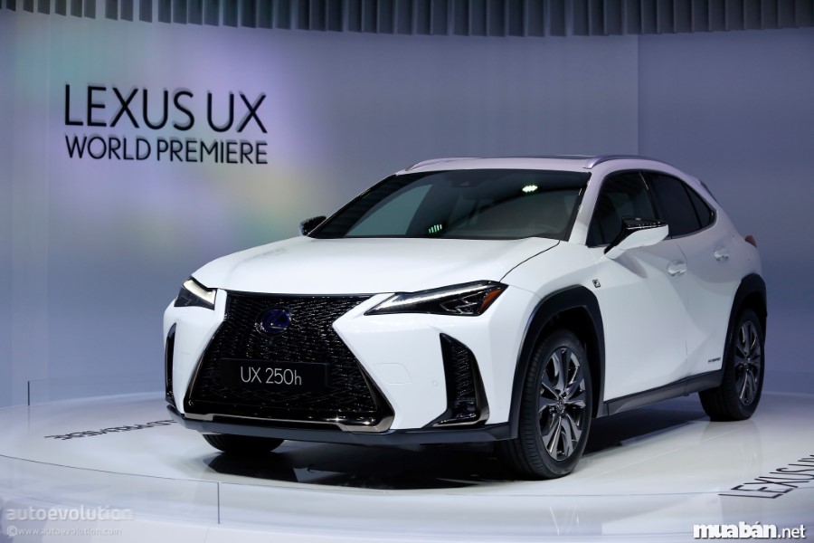 Lexus UX – trải nghiệm mới mẻ của thương hiệu xe Lexus