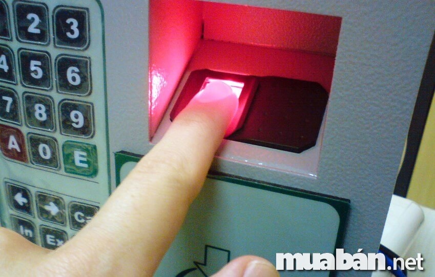 Máy chấm công vân tay – Ưu nhược điểm và cách chọn mua phù hợp