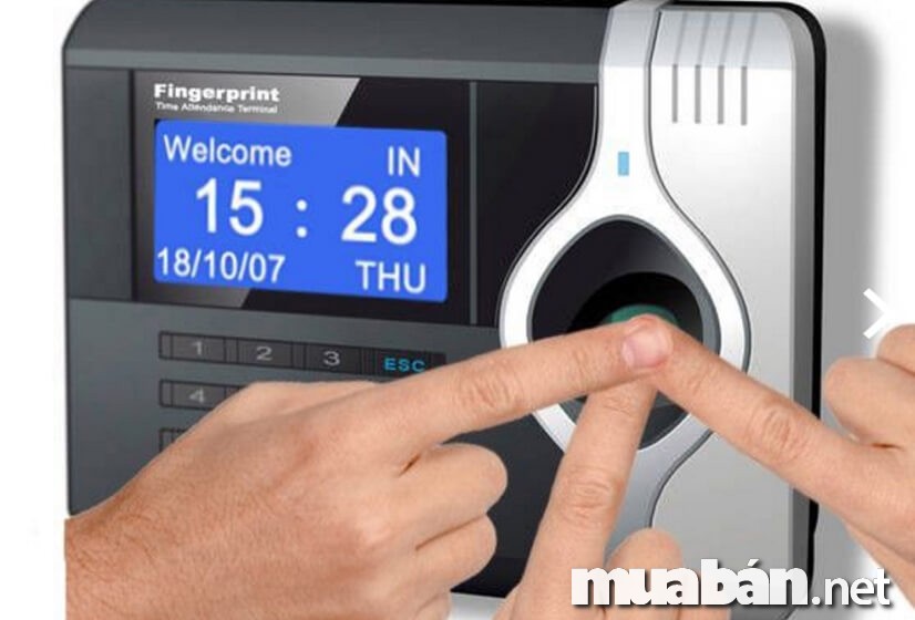 Máy chấm công vân tay – Ưu nhược điểm và cách chọn mua phù hợp
