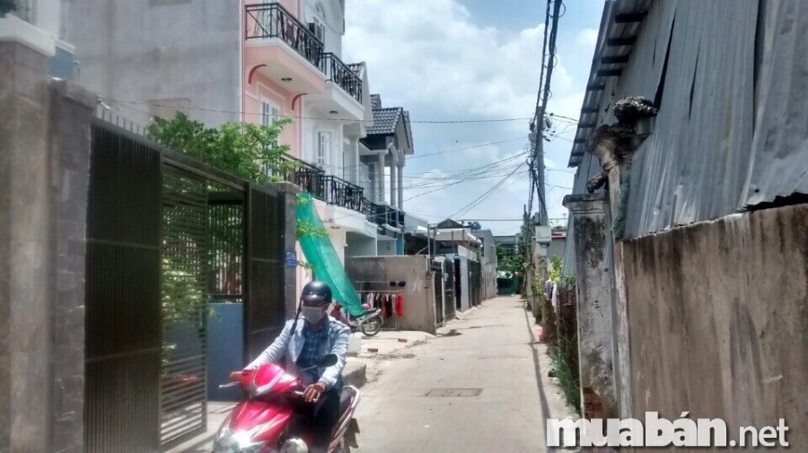 Ngôi nhà trong hẻm