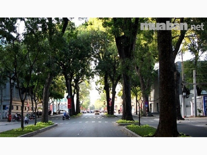 Danh Sách Những Căn Nhà Phố Đẹp Nhất Ở Sài Gòn Tại Muaban.net 9 Nhà Phố, Nhà Mặt Tiền