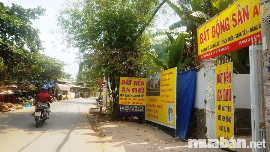 Người mua cần tránh những thông tin gian dối, định hướng sai trên thị trường