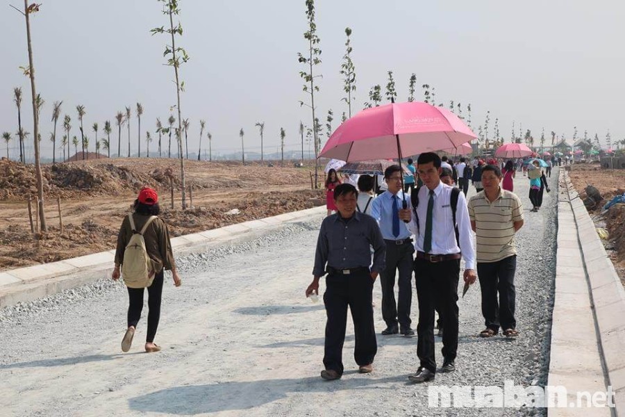 Nhiều người đầu tư đất nền giá rẻ mà không tìm hiểu rõ thông tin