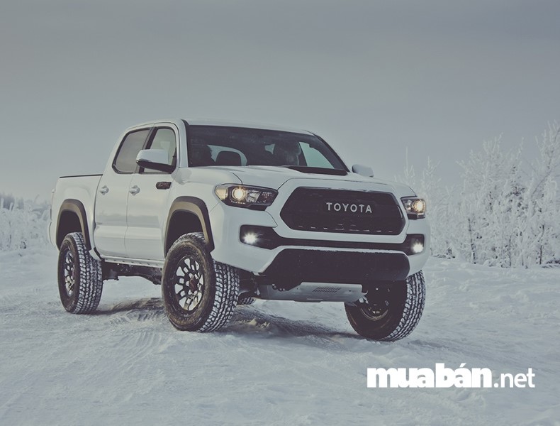 Người Mới Tập Lái Nên Chọn Dòng Xe Ô Tô Nào? 8 Toyota Tacoma Trang Bị Hệ Thống Chống Trượt Rất An Toàn Cho Những Ai Mới Biết Lái Xe.