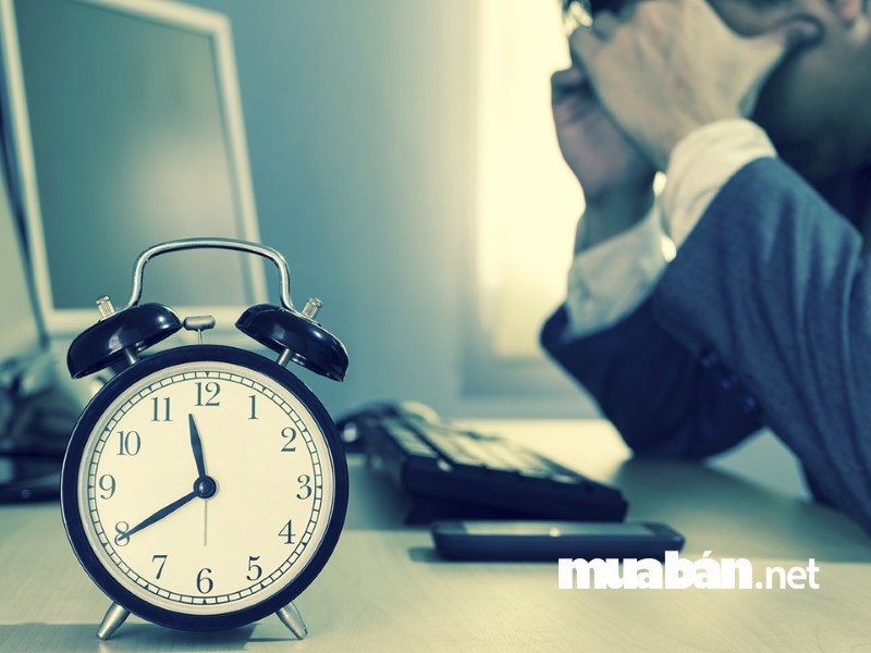 Chỉ nên làm việc 8 giờ/ ngày để đảm bảo sức khỏe và có thể tập trung tốt nhất cho công việc.