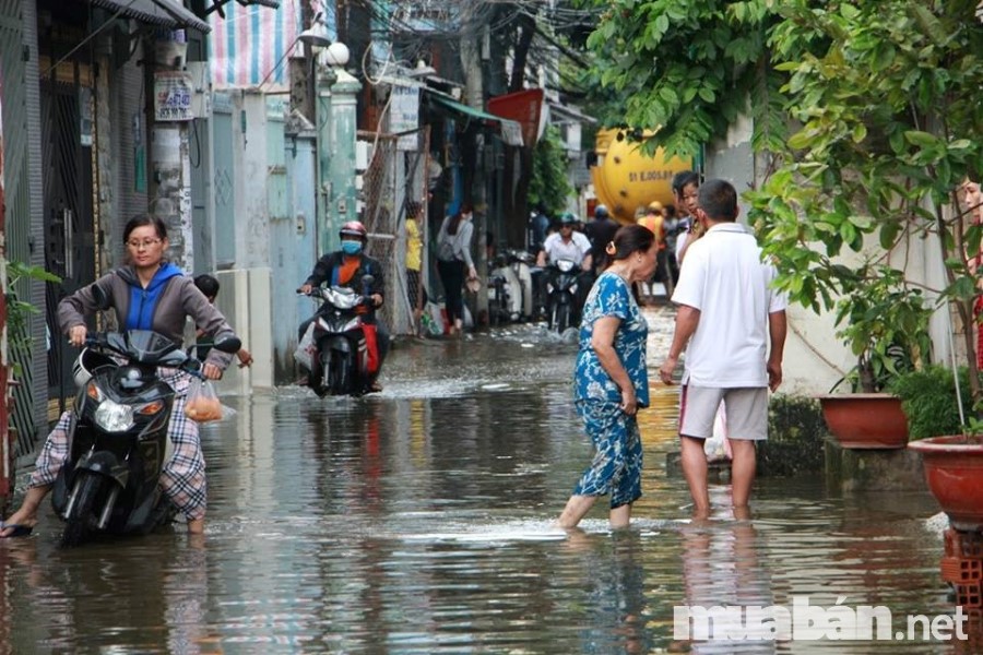 Thuê Nhà Nguyên Căn Trong Hẻm Tại Tphcm Có Phải Lựa Chọn Tốt Nhất? 3 Người Thuê Gặp Nhiều Bất Tiện Với Các Ngôi Nhà Nguyên Căn Trong Hẻm