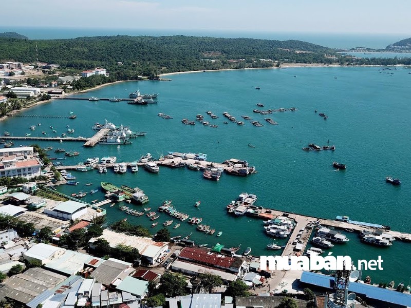 Những Rủi Ro Khó Lường Trước Khi Thuê Đất Đặc Khu 5 Thuê Đất Tại Các Sez Tiềm Ẩn Nhiều Rủi Ro Khôn Lường.