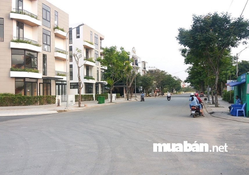 Tốc độ nộp tiền và giao đất được xem là nhanh hơn so với các loại tài sản khác.