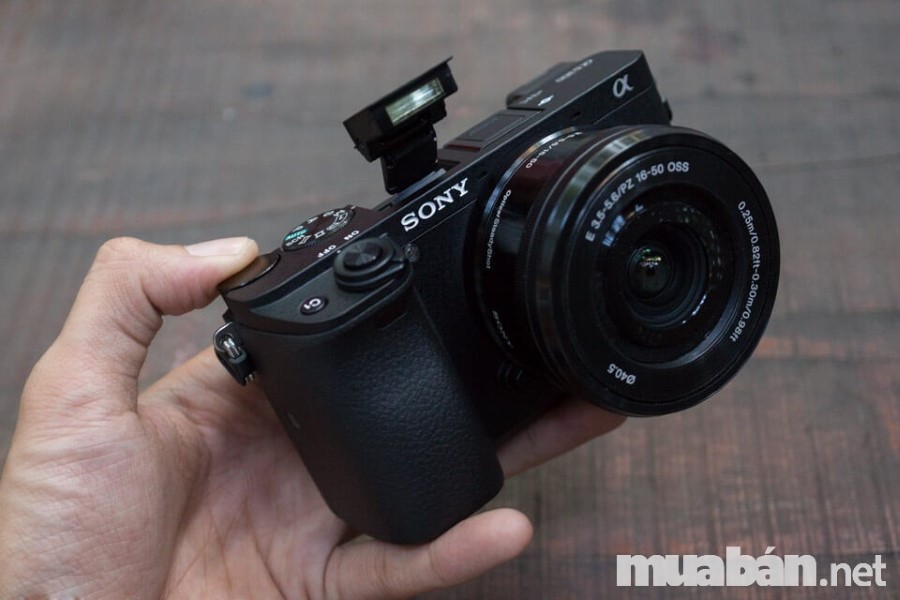 Dòng máy ảnh Mirrorless được đánh giá cao nhờ sự cơ động và chất lượng