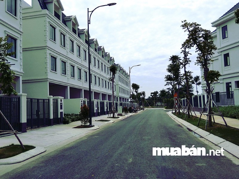 Cuộc sống khó khăn khi thuê nhà nguyên căn ở TP. HCM với mức lương công sở hạn hẹp.