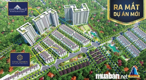 Topaz Home 2