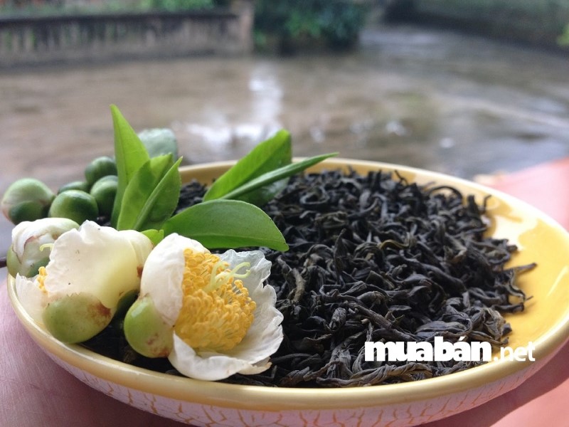 Mẹo Khử Mùi Hôi Trong Xe Ô Tô Nhanh Trong Vòng 1 Nốt Nhạc 7 Để Xử Lý Các Mùi Đồ Ăn Trên Xe Ô Tô Đó Hãy Bỏ Chậu Cây Nhỏ Hay Cành Hoa Nào Đó Vào Xe.
