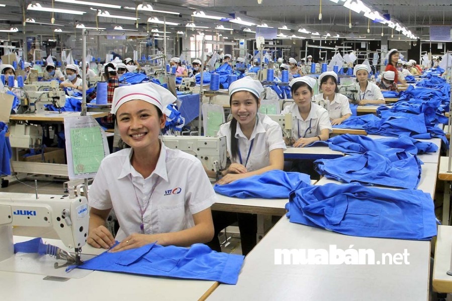 Hiện nay, TP. HCM nhu cầu tuyển dụng lao động phổ thông chiếm hơn 70% trong tổng nhu cầu tuyển dụng.