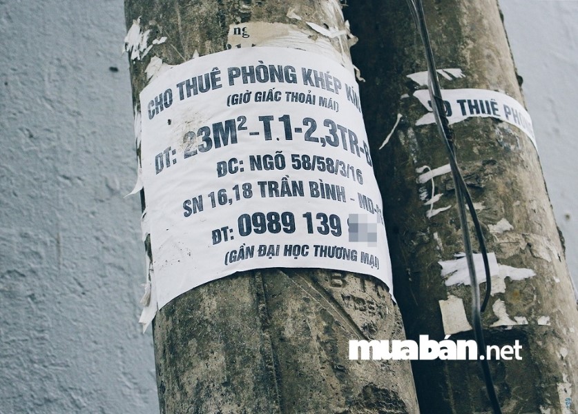 Có Nên Ở Ghép Ngay Từ Năm Nhất? 4 Ở Ghép Là Giải Pháp Tiện Kiệm Chi Phí Cho Sinh Viên.