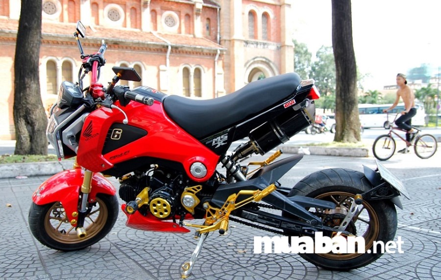 Vị trí ngồi của Honda MSX khá thẳng và thoải mái tuy nhiên mặt yên xe hơi nhỏ.