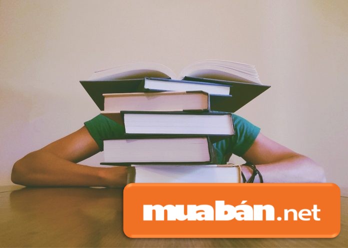 Bạn nên học cách cân bằng giữa việc học và đi làm