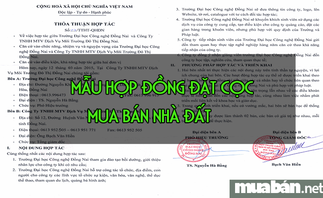 Hãy thật cẩn thận với hợp đồng đặt cọc mua bán nhà đất