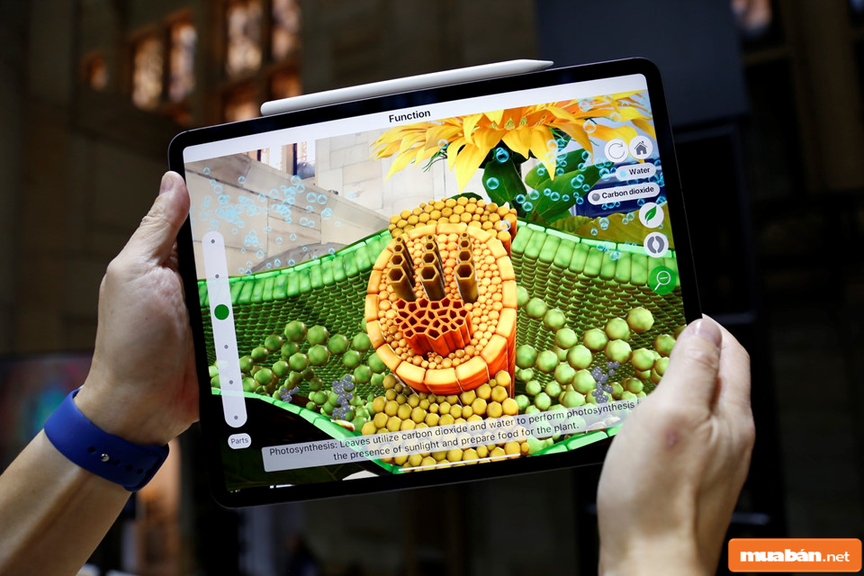 Ipad Pro 2018: Tiện Ích Siêu Cấp, Giá Siêu “Chua” 2 Ipad 2018