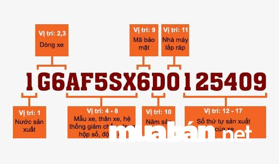 Tìm hiểu về mã VIN để kiểm tra các chi tiết liên quan đến xe