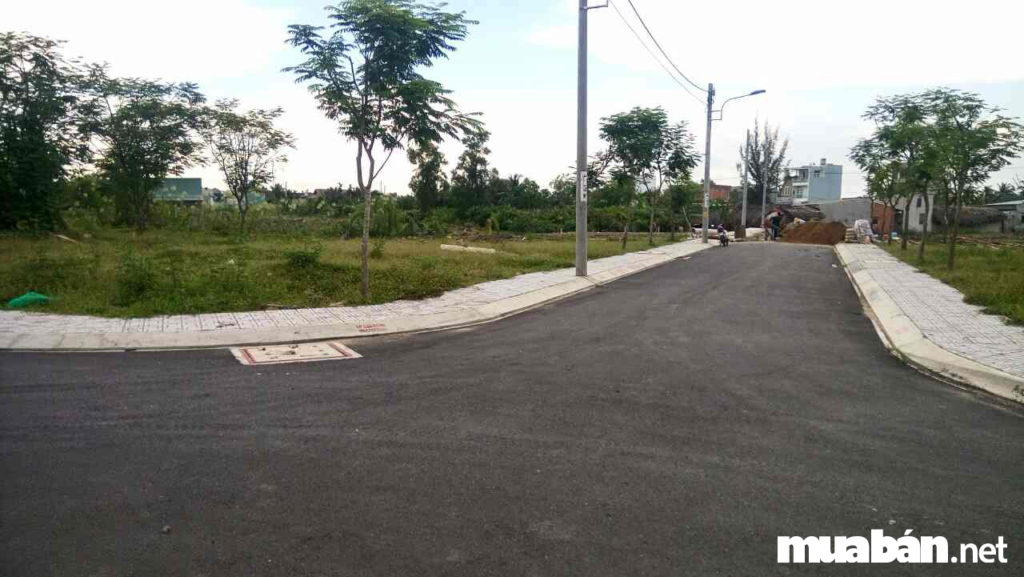 Thầy phong thủy nói gì về đất nền quận 9